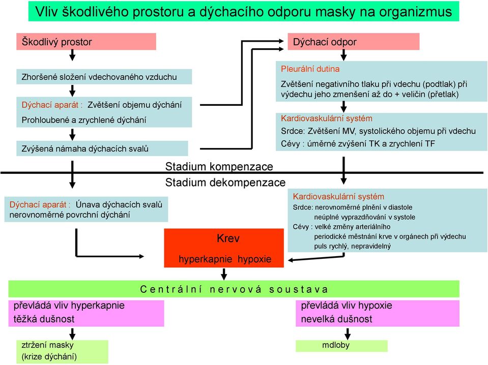 systolického objemu při vdechu Cévy : úměrné zvýšení TK a zrychlení TF Dýchací aparát : Únava dýchacích svalů nerovnoměrné povrchní dýchání Stadium kompenzace Stadium dekompenzace Krev hyperkapnie