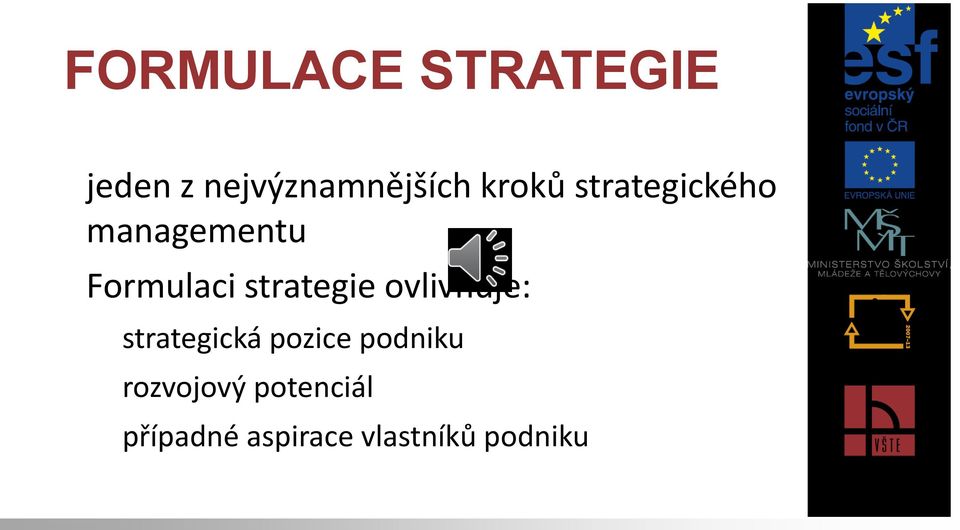 strategie ovlivňuje: strategická pozice podniku