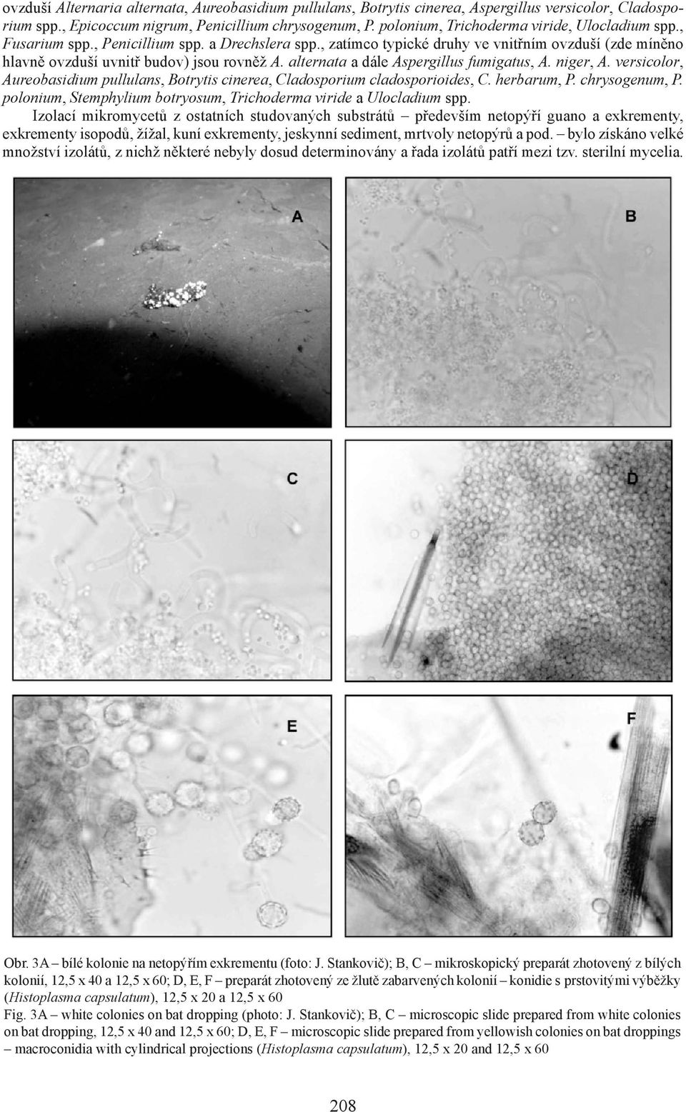 alternata a dále Aspergillus fumigatus, A. niger, A. versicolor, Aureobasidium pullulans, Botrytis cinerea, Cladosporium cladosporioides, C. herbarum, P. chrysogenum, P.