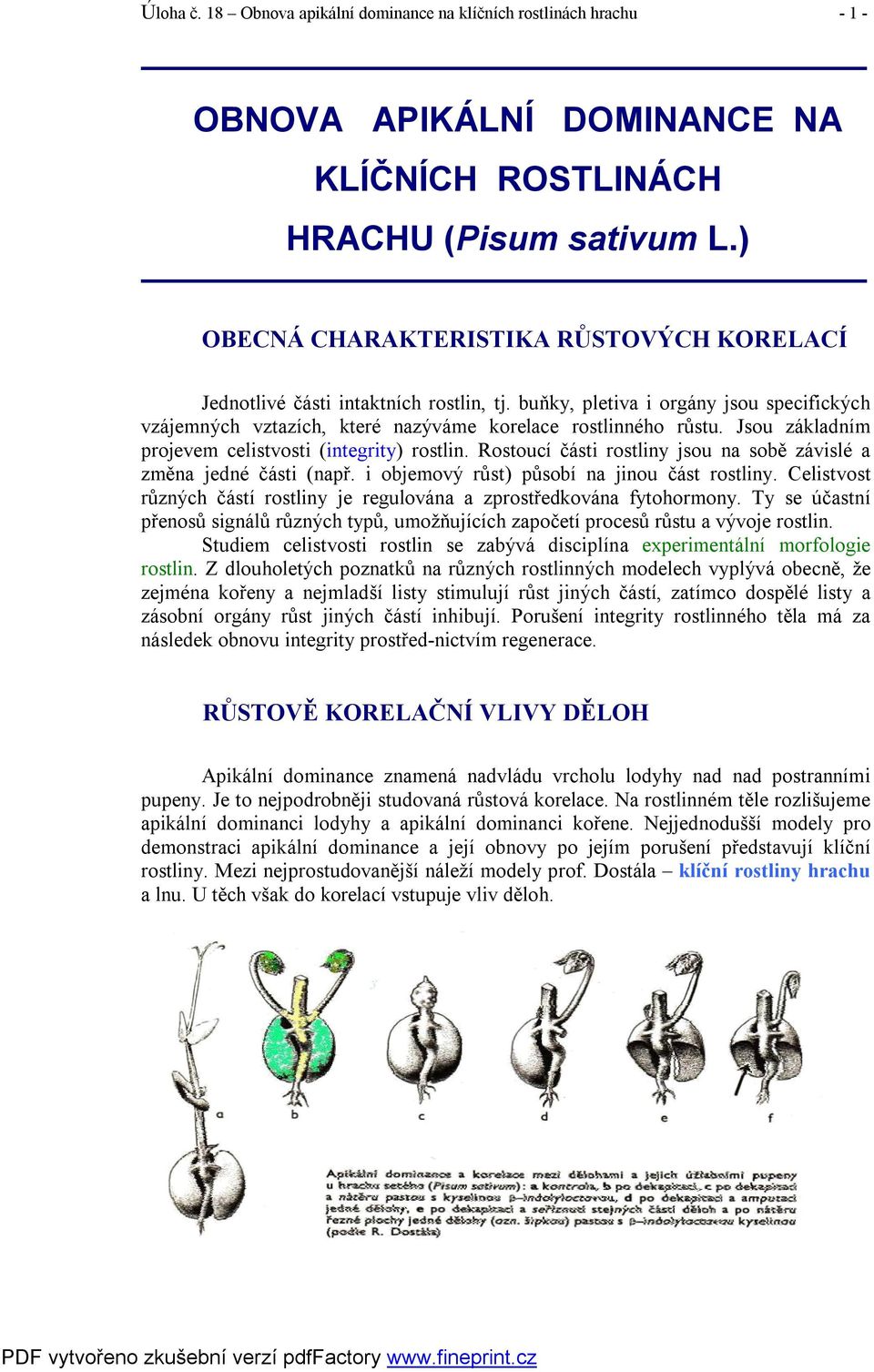 Jsou základním projevem celistvosti (integrity) rostlin. Rostoucí části rostliny jsou na sobě závislé a změna jedné části (např. i objemový růst) působí na jinou část rostliny.