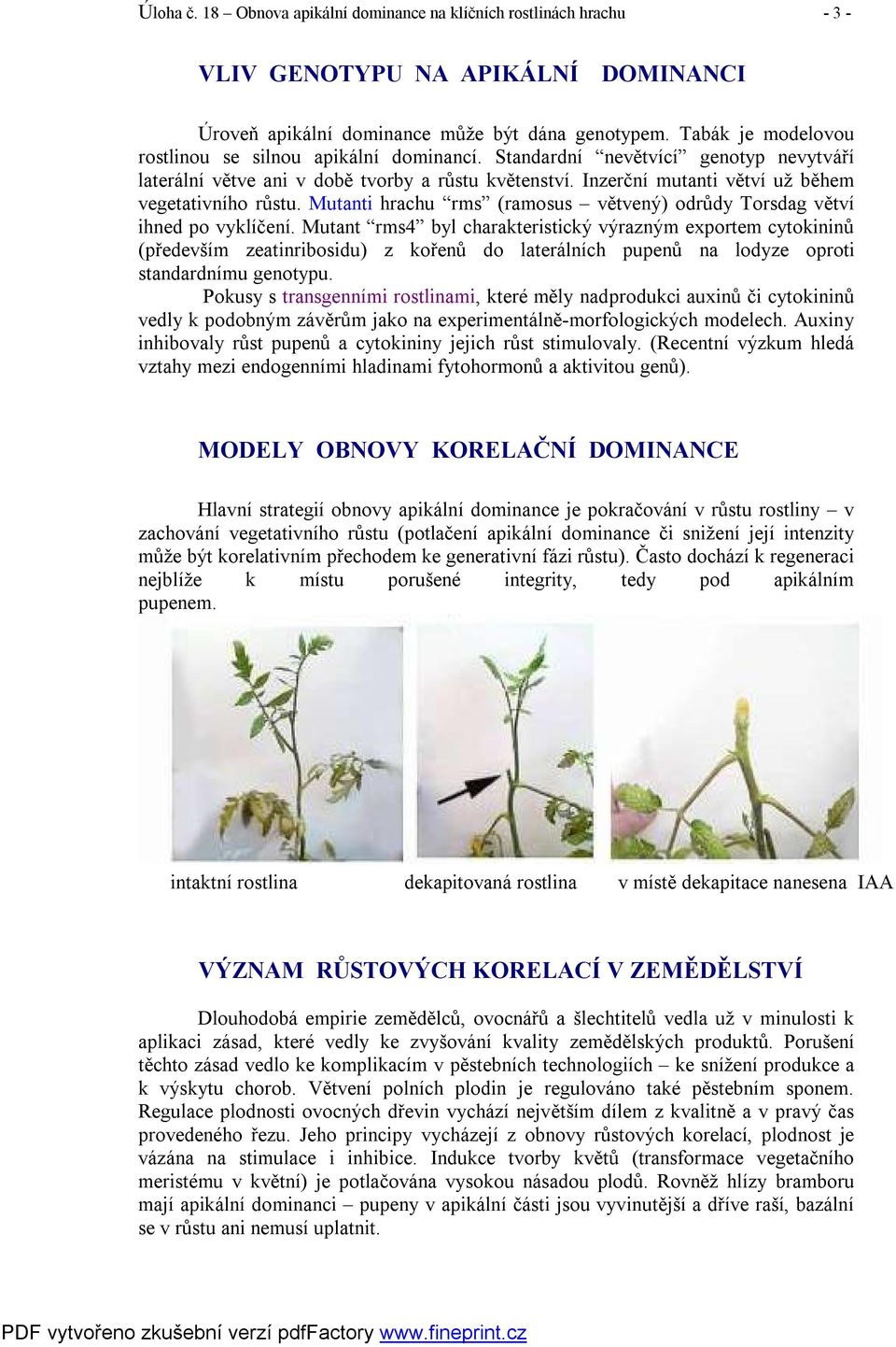 Inzerční mutanti větví už během vegetativního růstu. Mutanti hrachu rms (ramosus větvený) odrůdy Torsdag větví ihned po vyklíčení.