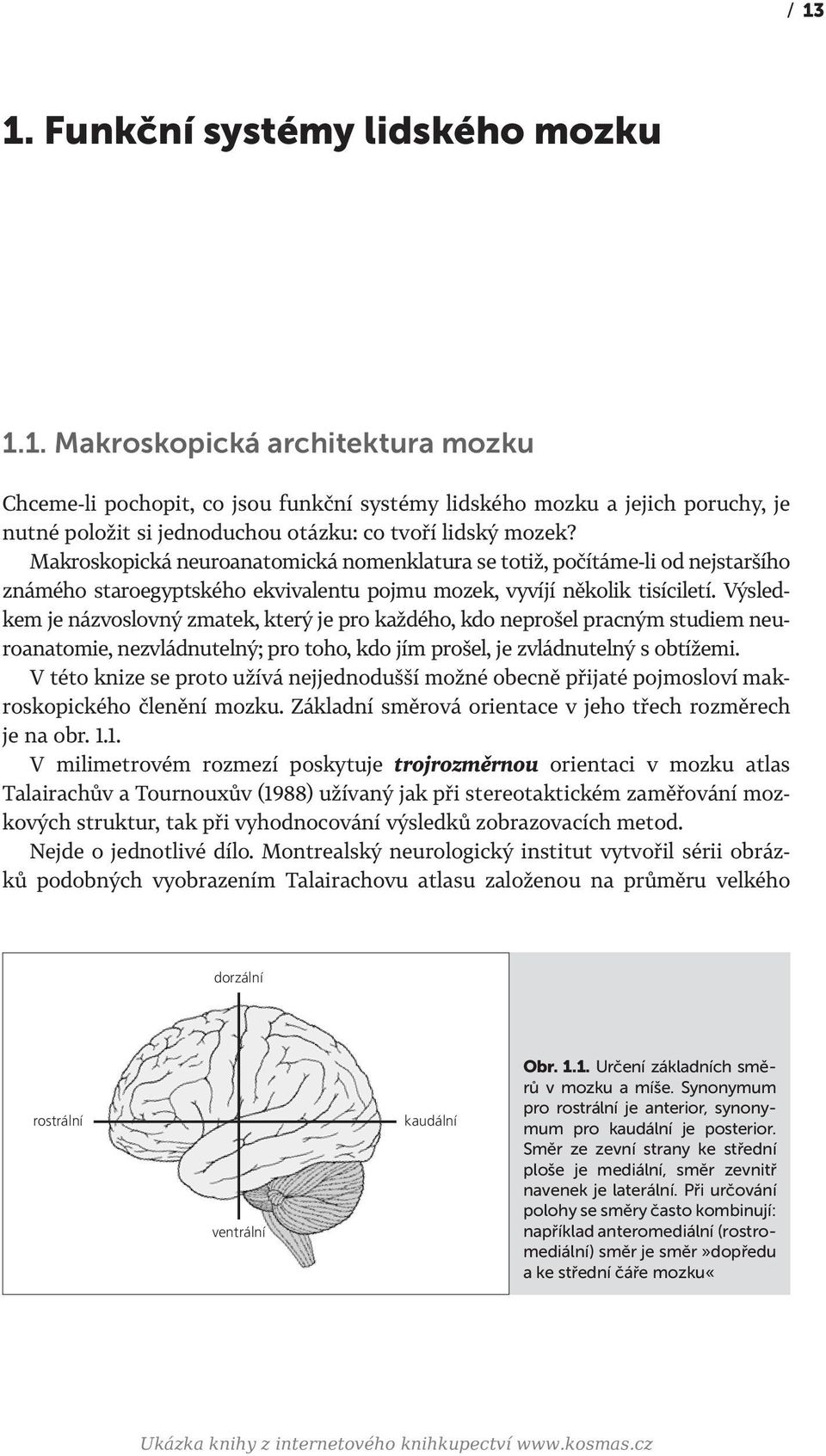 Výsledkem je názvoslovný zmatek, který je pro každého, kdo neprošel pracným studiem neuroanatomie, nezvládnutelný; pro toho, kdo jím prošel, je zvládnutelný s obtížemi.