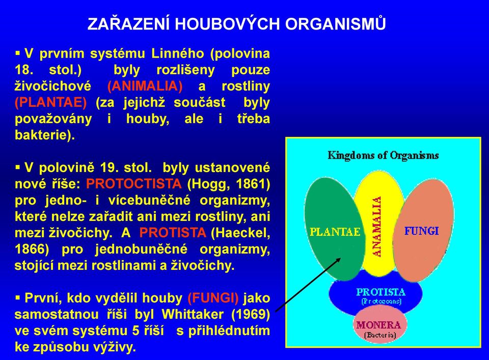 stol. byly ustanovené nové říše: PROTOCTISTA (Hogg, 1861) pro jedno- i vícebuněčné organizmy, které nelze zařadit ani mezi rostliny, ani mezi