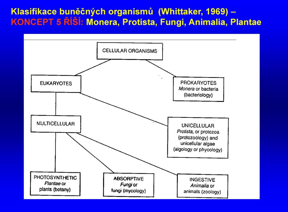 1969) KONCEPT 5 ŘÍŠÍ: