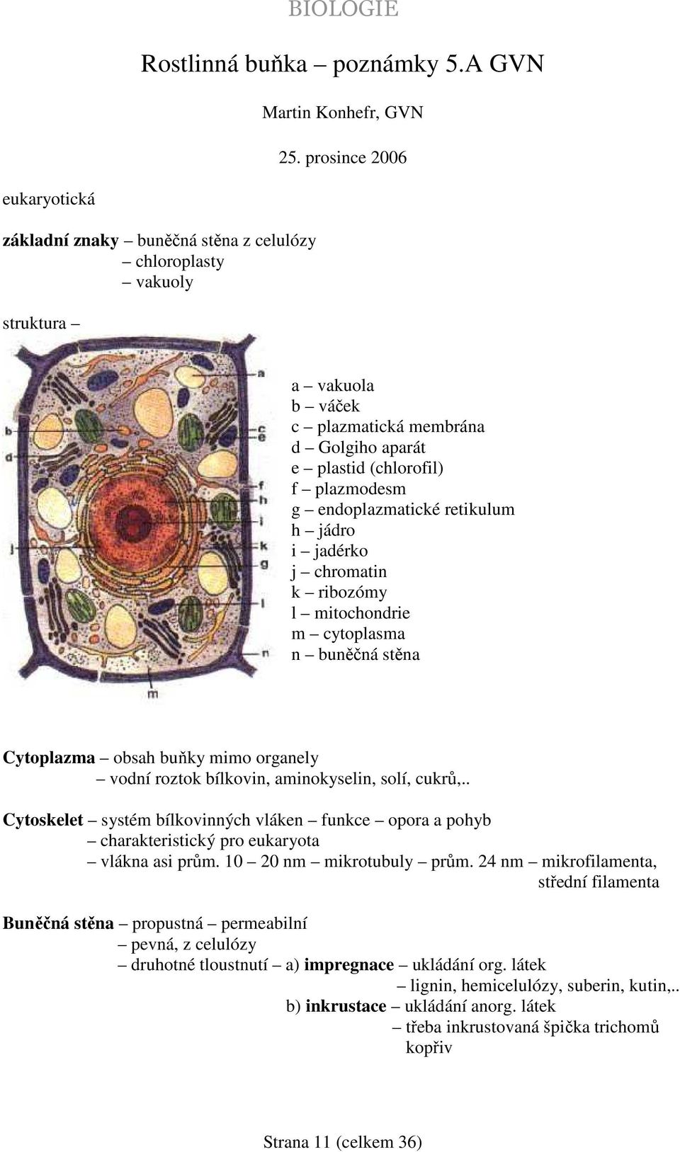 endoplazmatické retikulum h jádro i jadérko j chromatin k ribozómy l mitochondrie m cytoplasma n buněčná stěna Cytoplazma obsah buňky mimo organely vodní roztok bílkovin, aminokyselin, solí, cukrů,.