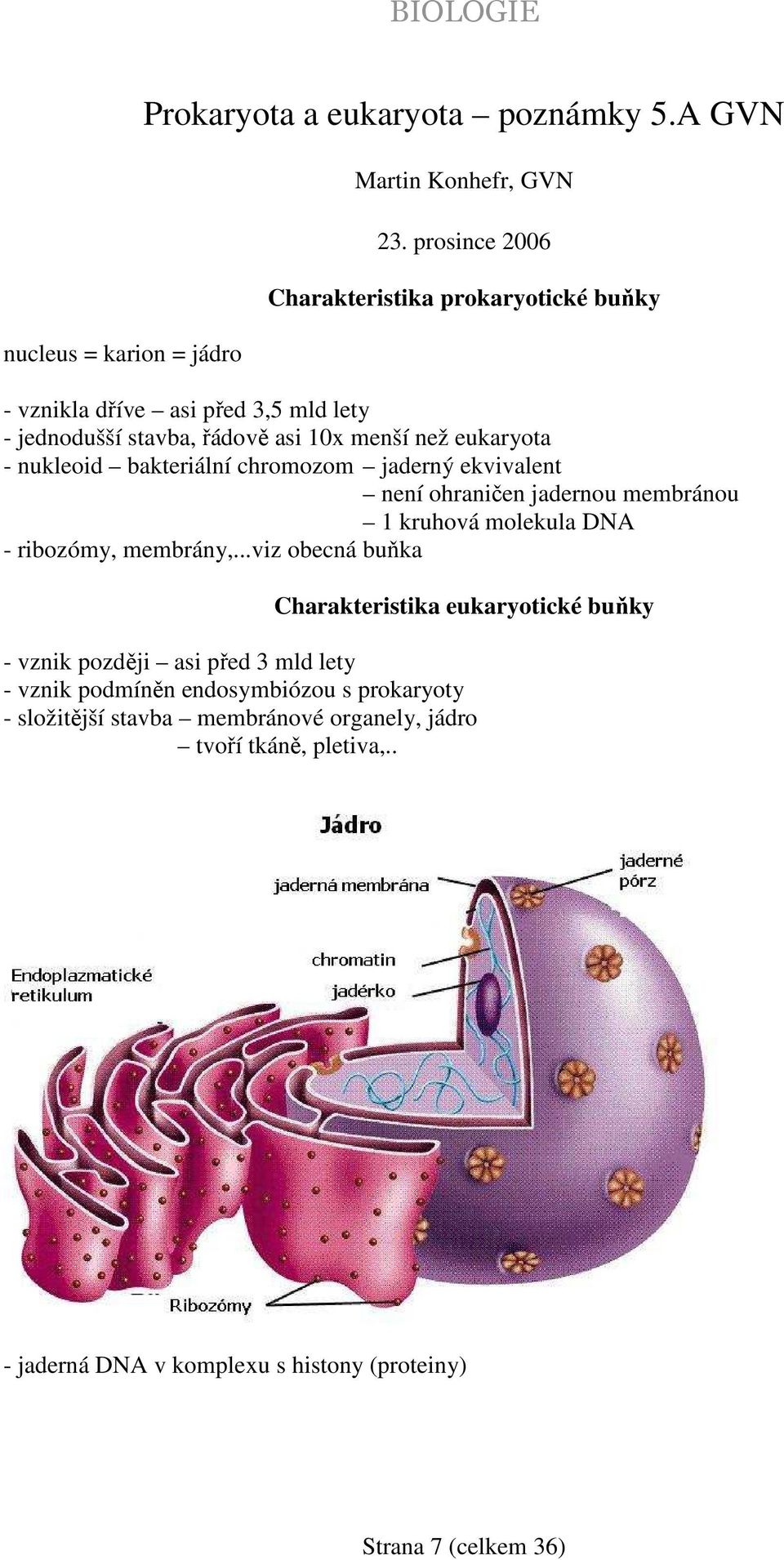 bakteriální chromozom jaderný ekvivalent není ohraničen jadernou membránou 1 kruhová molekula DNA - ribozómy, membrány,.