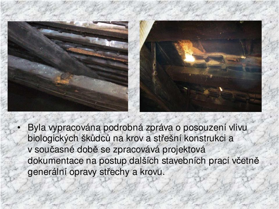 současn asné době se zpracovává projektová dokumentace na