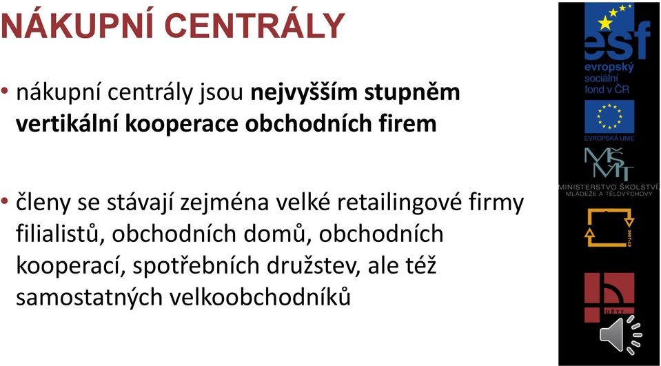 velké retailingové firmy filialistů, obchodních domů,