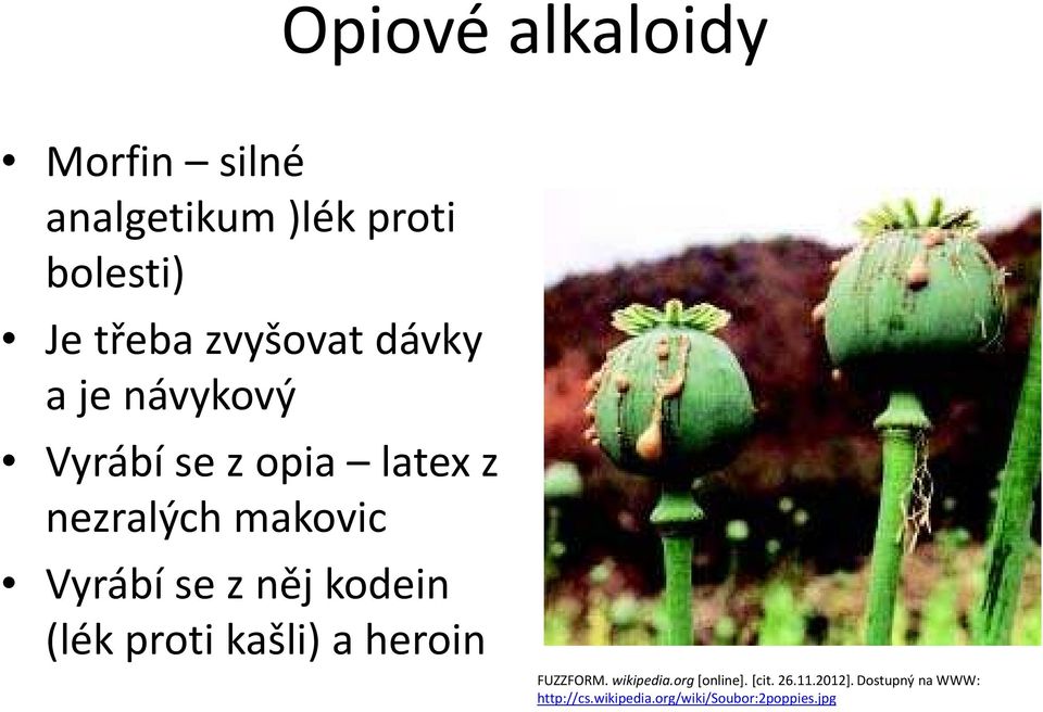 Vyrábí se z něj kodein (lék proti kašli) a heroin FUZZFORM. wikipedia.