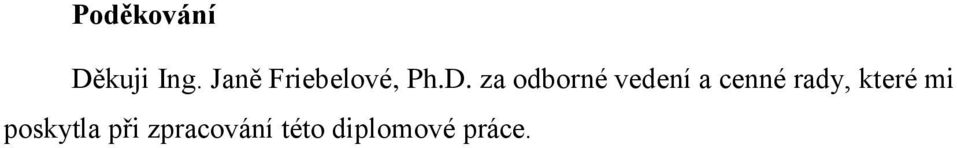 za odborné vedení a cenné rady,