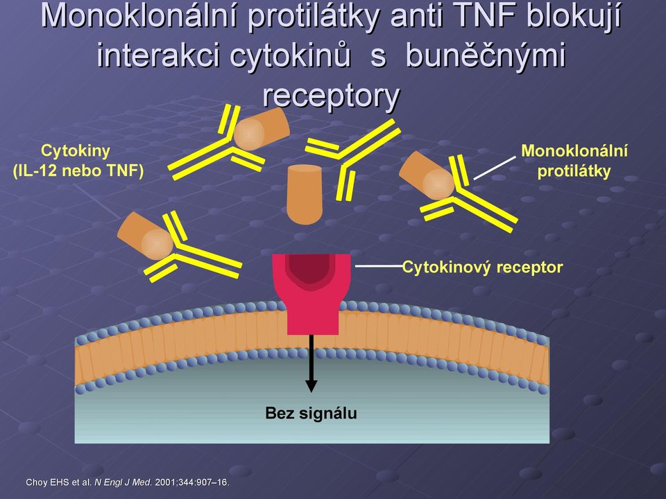 (IL-12 nebo TNF) Monoklonální protilátky Cytokinový