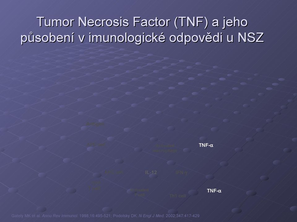 CD4 T cell Activated T cell Th1 cell TNF-α Gately MK et al.