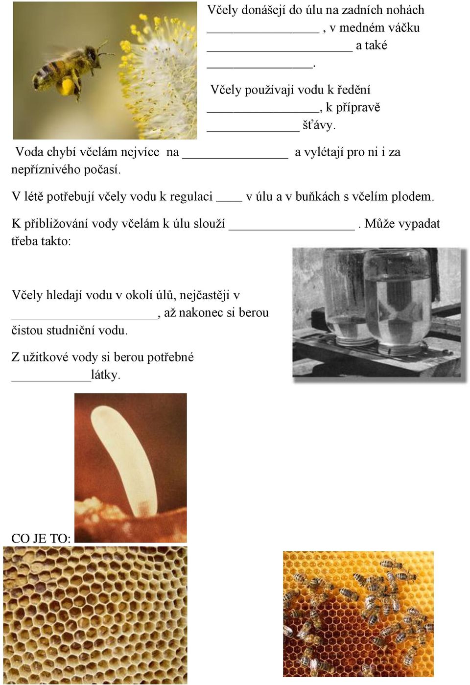 V létě potřebují včely vodu k regulaci v úlu a v buňkách s včelím plodem. K přibližování vody včelám k úlu slouží.