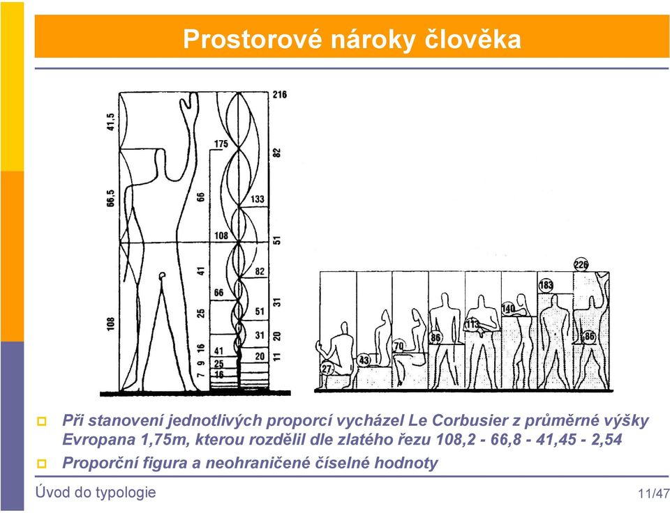 1,75m, kterou rozdělil dle zlatého řezu