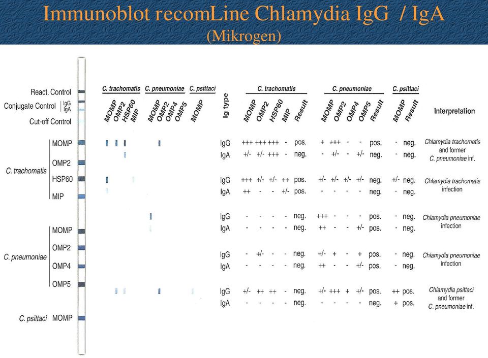 Chlamydia