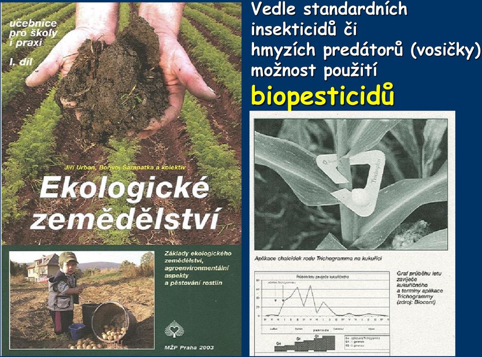predátorů (vosičky)
