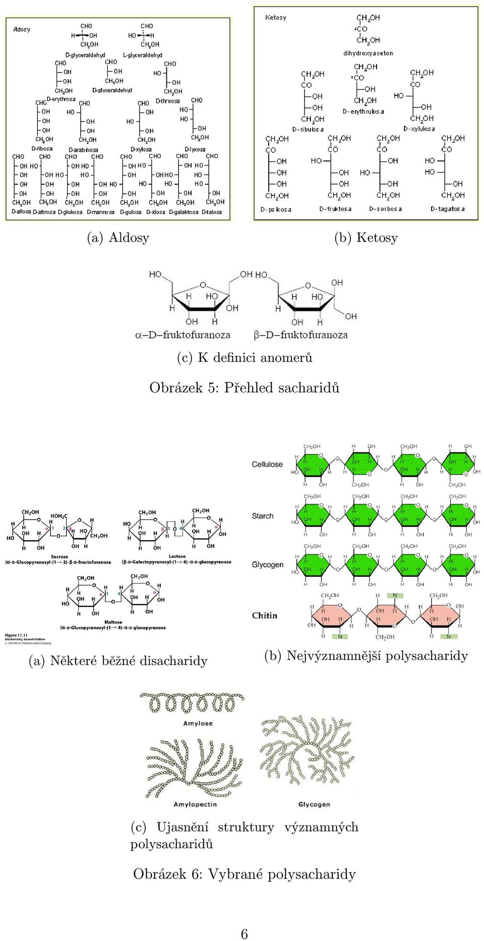 Nejvýznamnější polysacharidy (c) Ujasnění struktury
