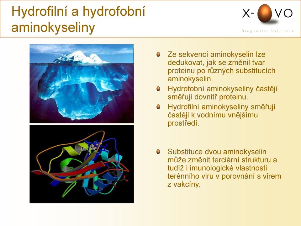 Hydrofobní aminokyseliny častěji směřují dovnitř proteinu.