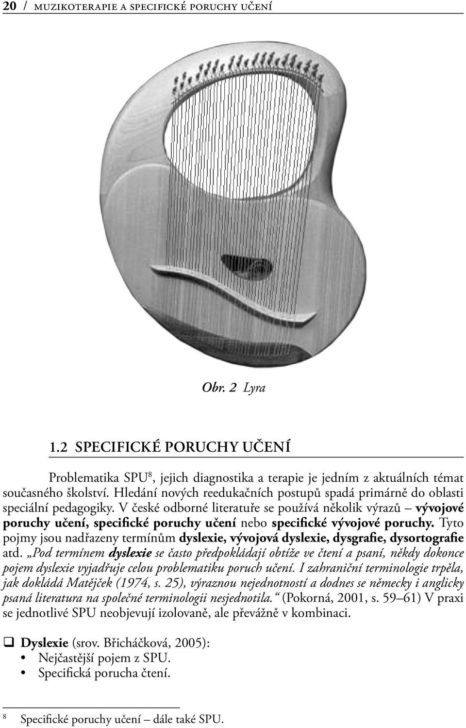 V české odborné literatuře se používá několik výrazů vývojové poruchy učení, specifické poruchy učení nebo specifické vývojové poruchy.