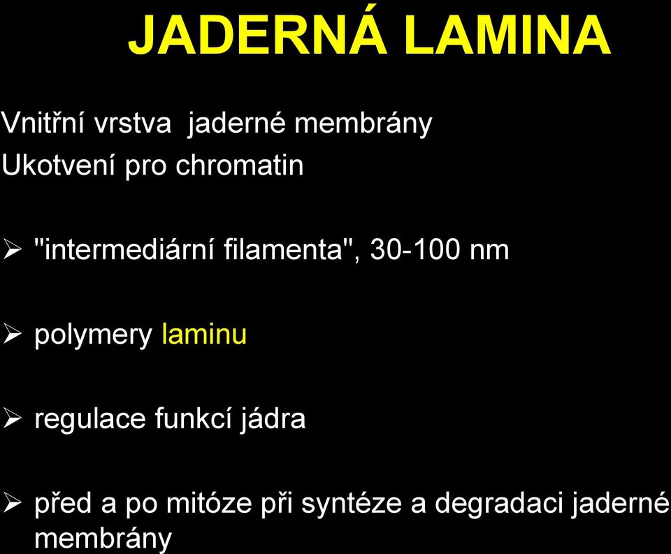 30-100 nm polymery laminu regulace funkcí jádra