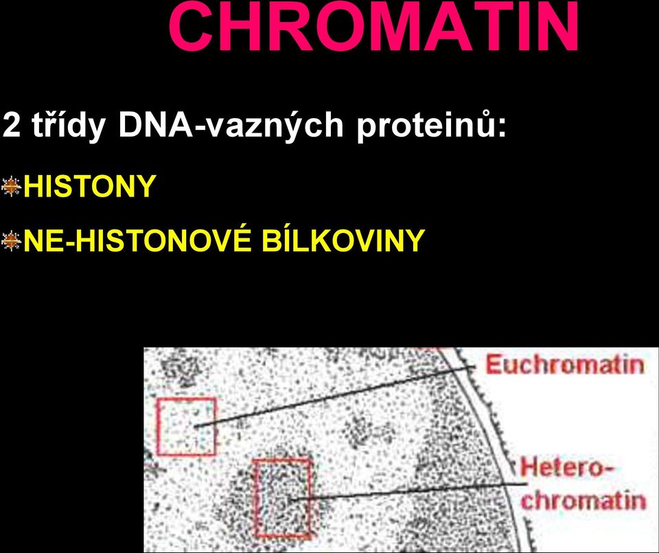 HISTONY NE-HISTONOVÉ