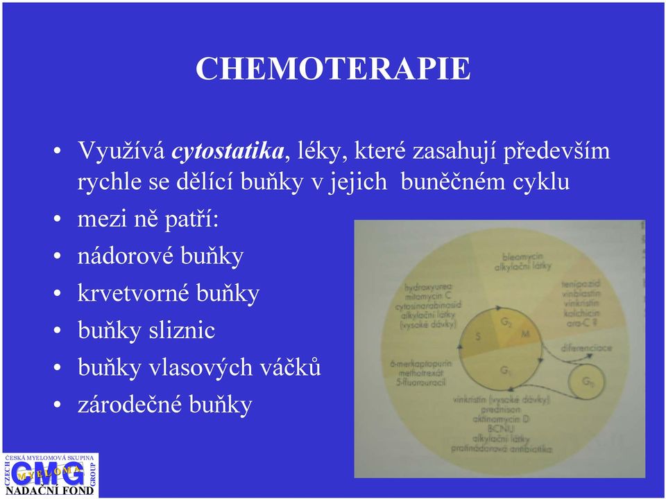 buněčném cyklu mezi ně patří: nádorové buňky