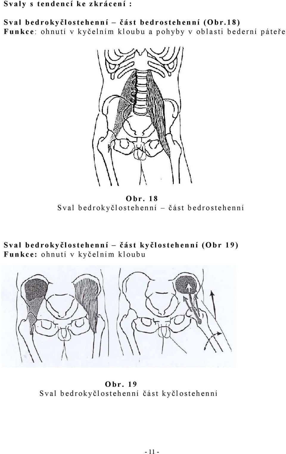 1 8 S v a l b e d r o k yč l o s t e h e n n í č á s t b edrostehenní S v a l b e d r o k y č l o s t e h e n n í č á s t k y č l o s t e h