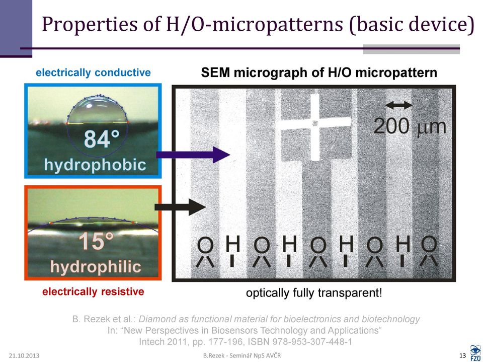 : Diamond as functional material for bioelectronics and biotechnology In: New Perspectives in