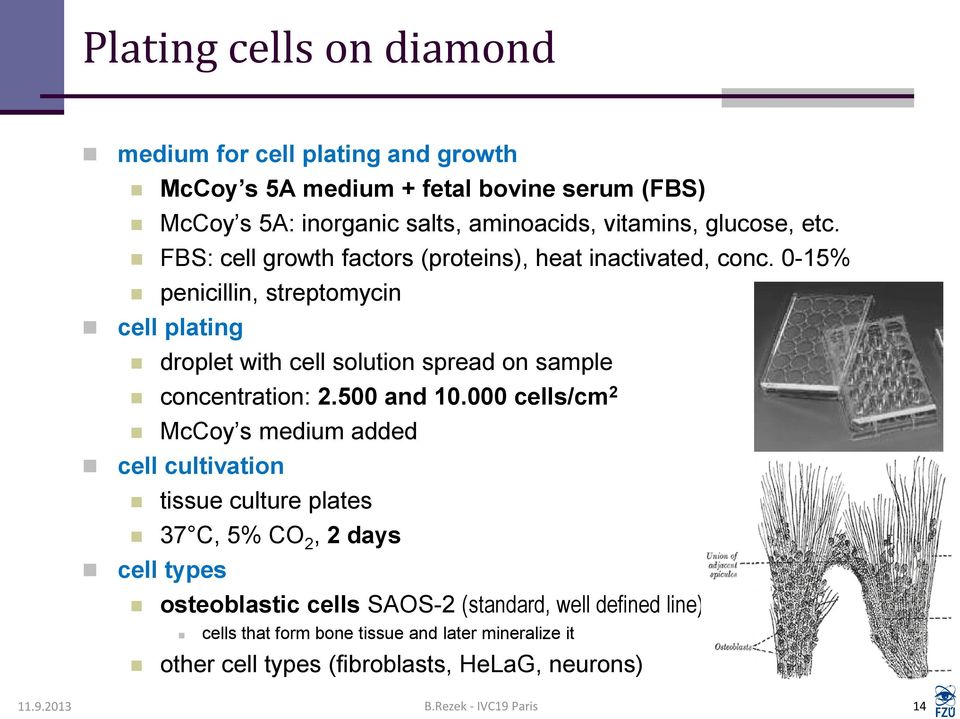 0-15% penicillin, streptomycin cell plating droplet with cell solution spread on sample concentration: 2.500 and 10.