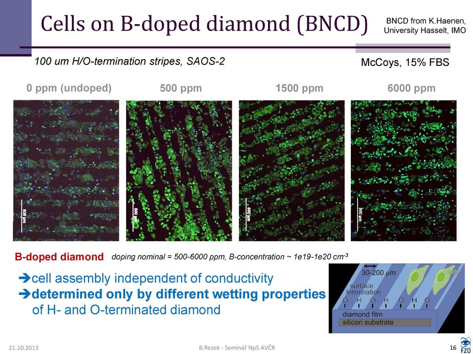 500 ppm 1500 ppm 6000 ppm B-doped diamond doping nominal = 500-6000 ppm, B-concentration ~ 1e19-1e20 cm