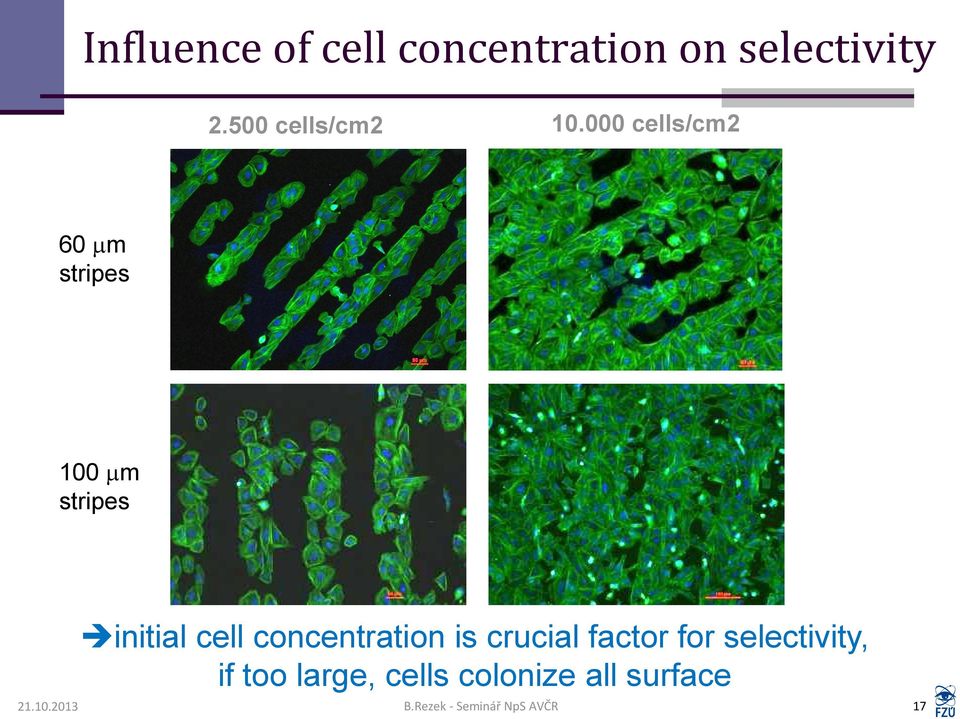 000 cells/cm2 60 mm stripes 100 mm stripes initial cell