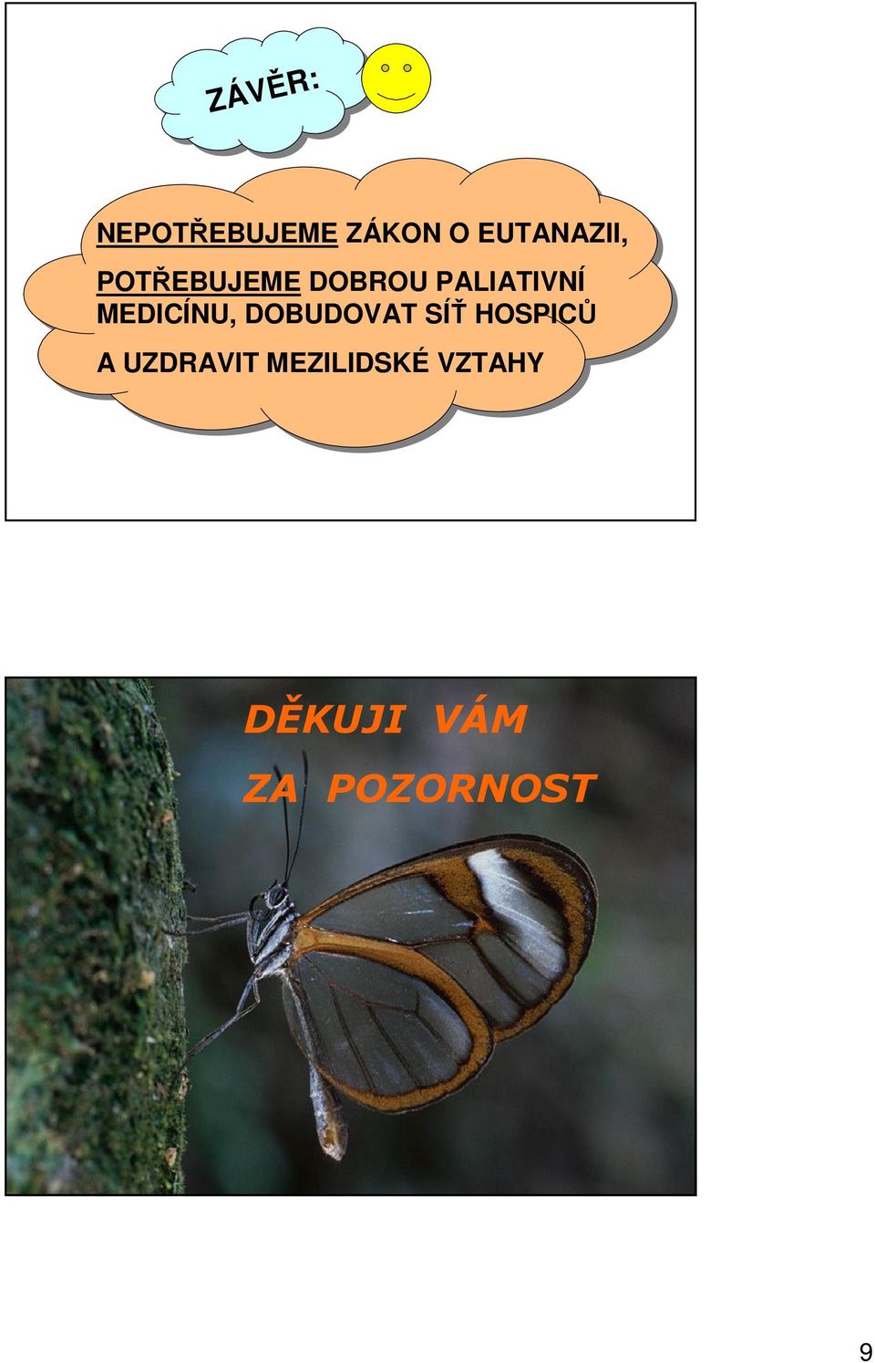 PALIATIVNÍ MEDICÍNU, DOBUDOVAT SÍŤ