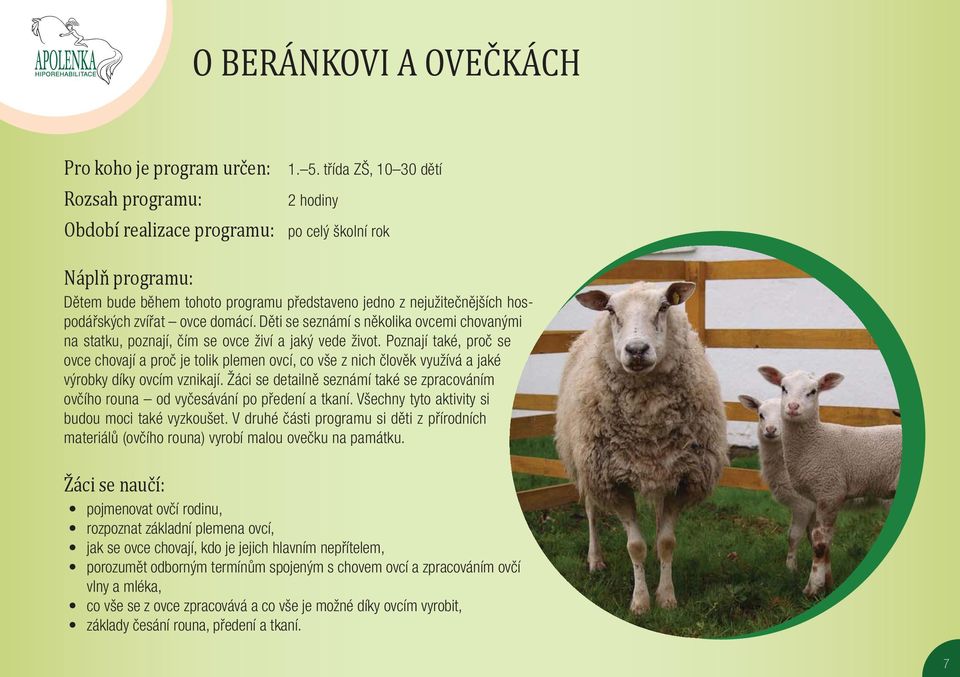 Poznají také, proč se ovce chovají a proč je tolik plemen ovcí, co vše z nich člověk využívá a jaké výrobky díky ovcím vznikají.