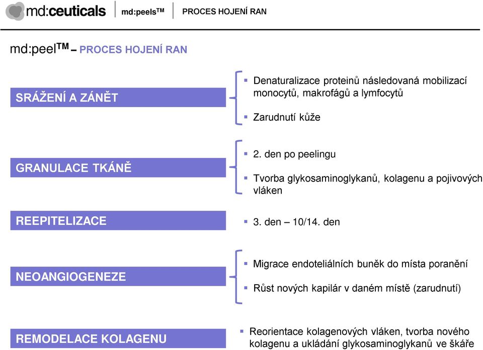 den po peelingu Tvorba glykosaminoglykanů, kolagenu a pojivových vláken 3. den 10/14.