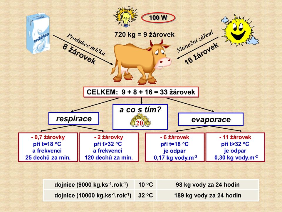 24 hodin dojnice (10000 kg.