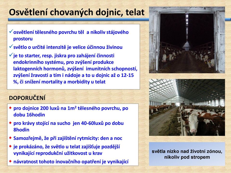 snížení mortality a morbidity u telat DOPORUČENÍ pro dojnice 200 luxů na 1m 2 tělesného povrchu, po dobu 16hodin pro krávy stojící na sucho jen 40-60luxů po dobu 8hodin Samozřejmě, že při