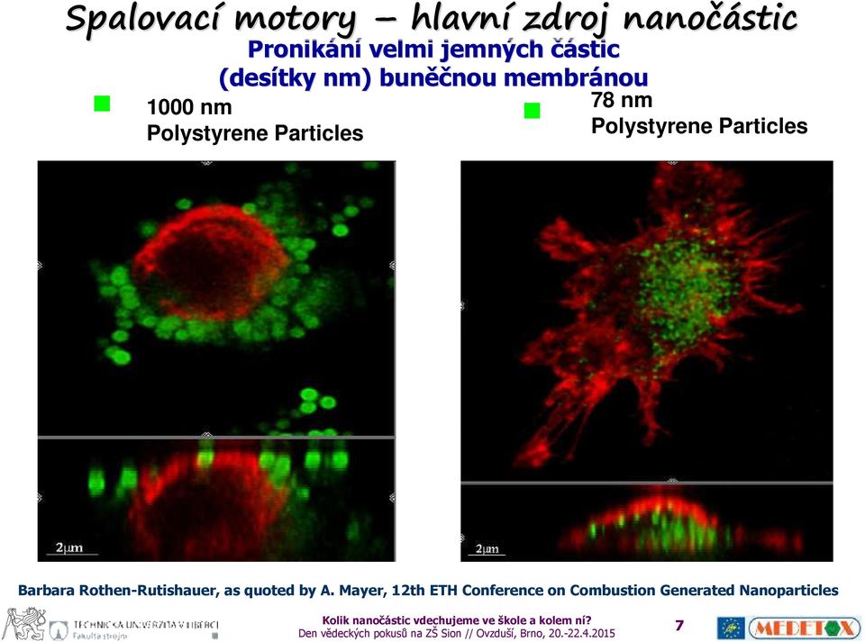 Particles 78 nm Polystyrene Particles Barbara Rothen-Rutishauer, as