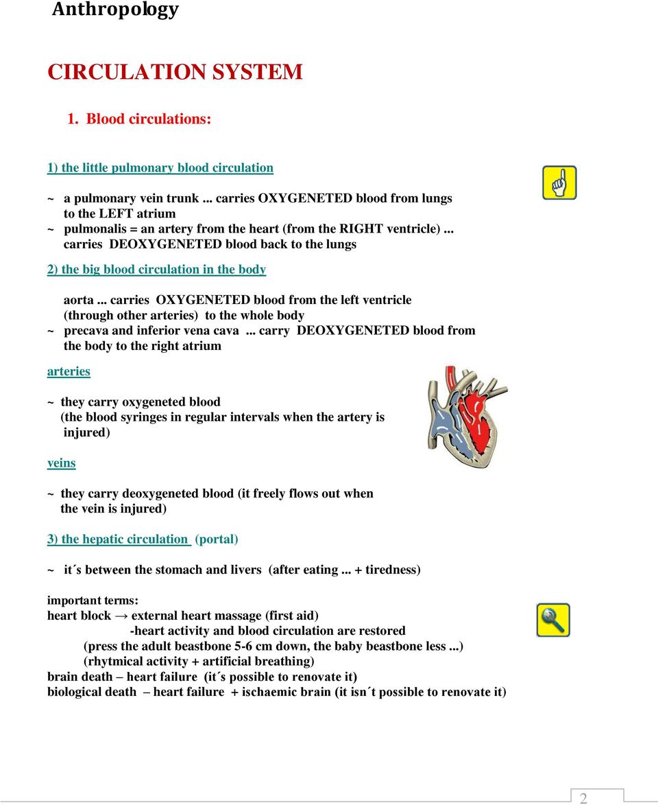 .. carries DEOXYGENETED blood back to the lungs 2) the big blood circulation in the body aorta.