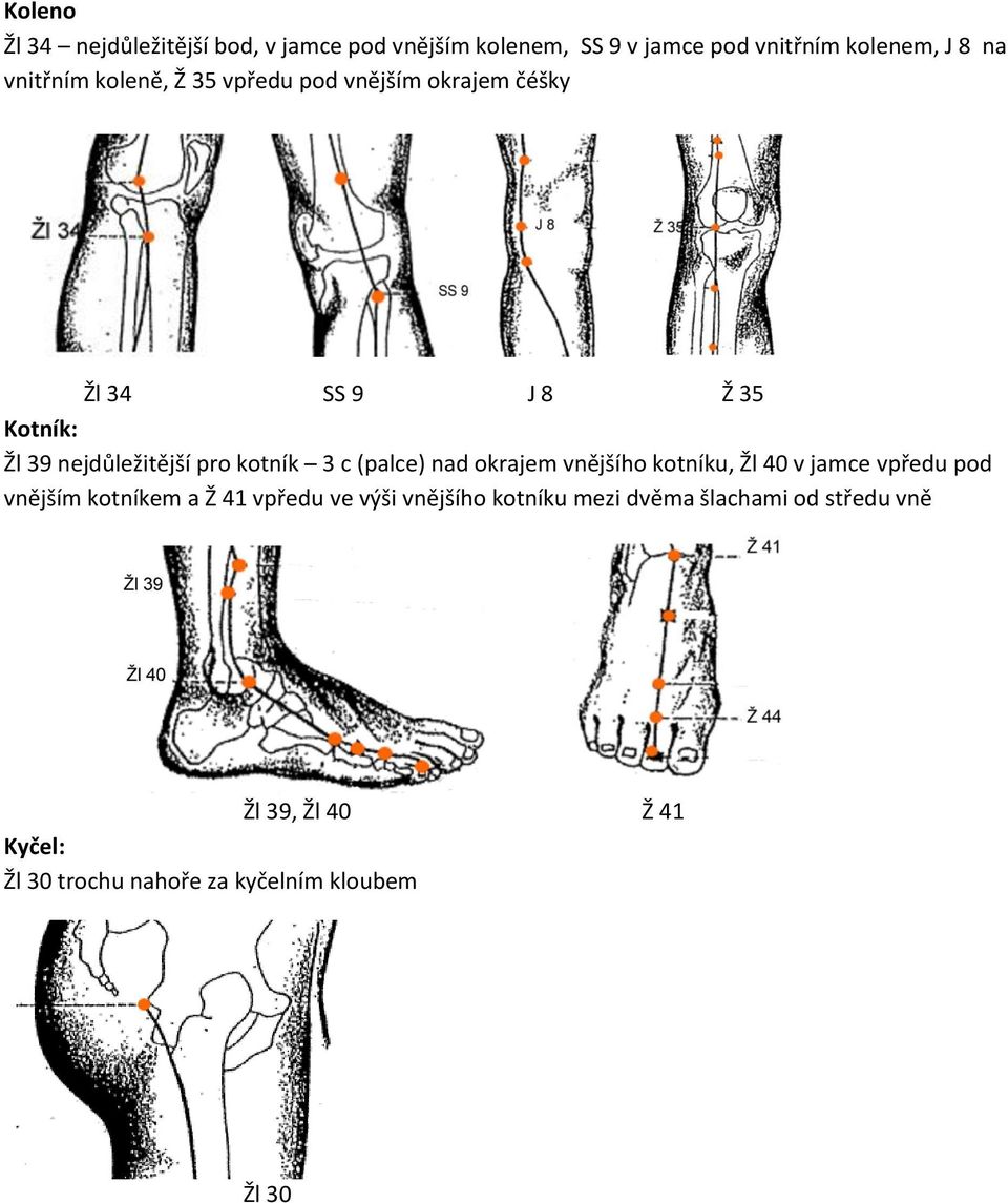 kotník 3 c (palce) nad okrajem vnějšího kotníku, Žl 40 v jamce vpředu pod vnějším kotníkem a Ž 41 vpředu ve