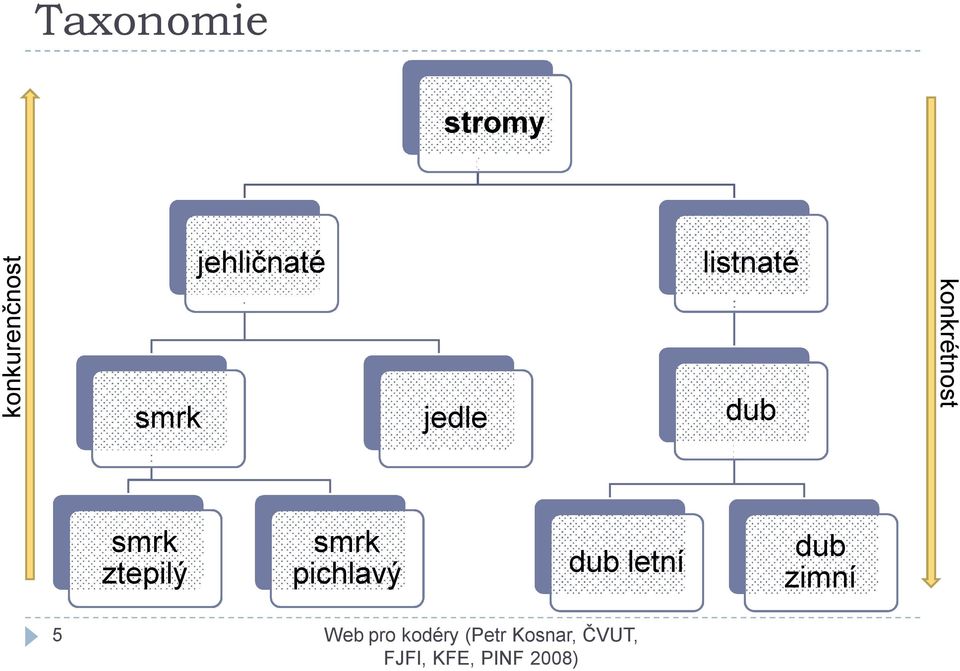 dub konkrétnost smrk ztepilý