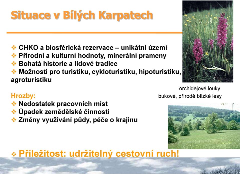 hipoturistiku, agroturistiku Hrozby: Nedostatek pracovních míst Úpadek zemědělské činnosti Změny