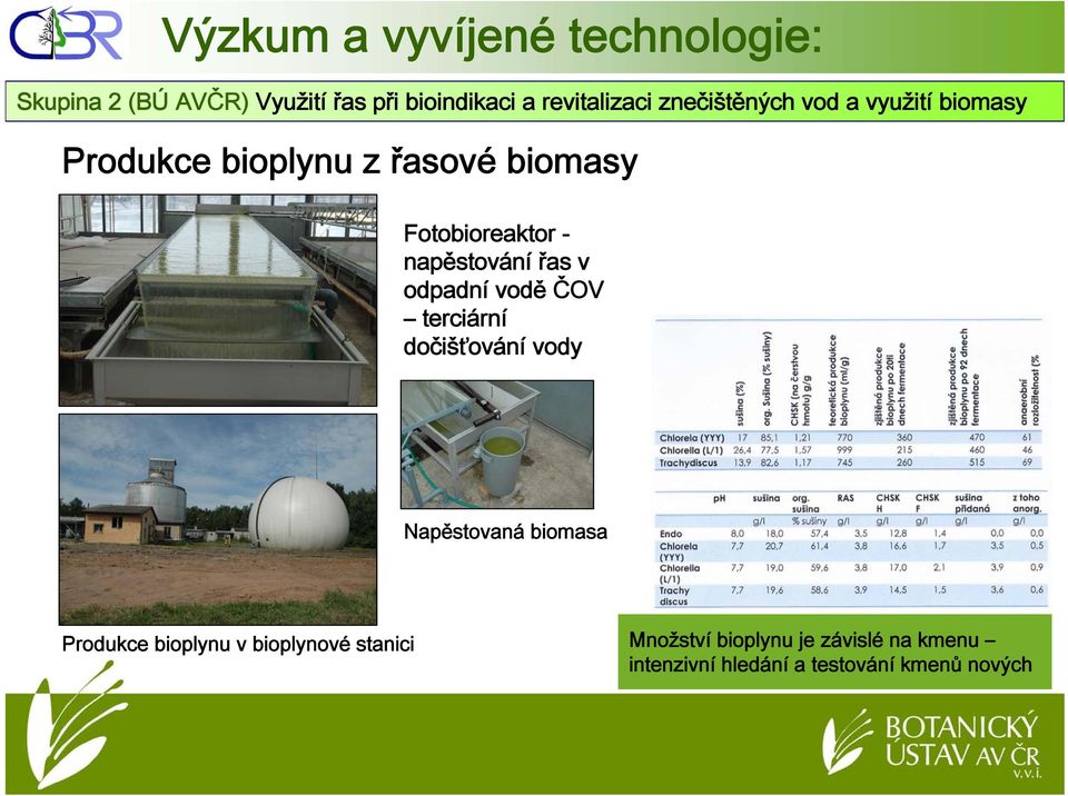odpadní vodě ČOV terciární dočišťování vody Napěstovaná biomasa Produkce bioplynu v