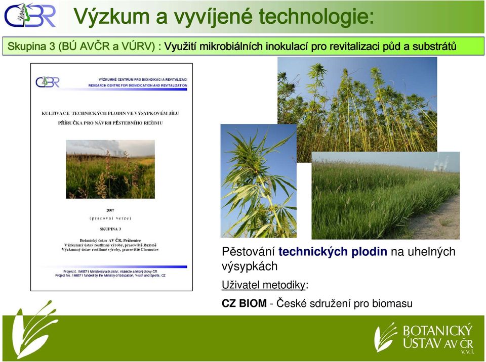 substrátů Pěstování technických plodin na
