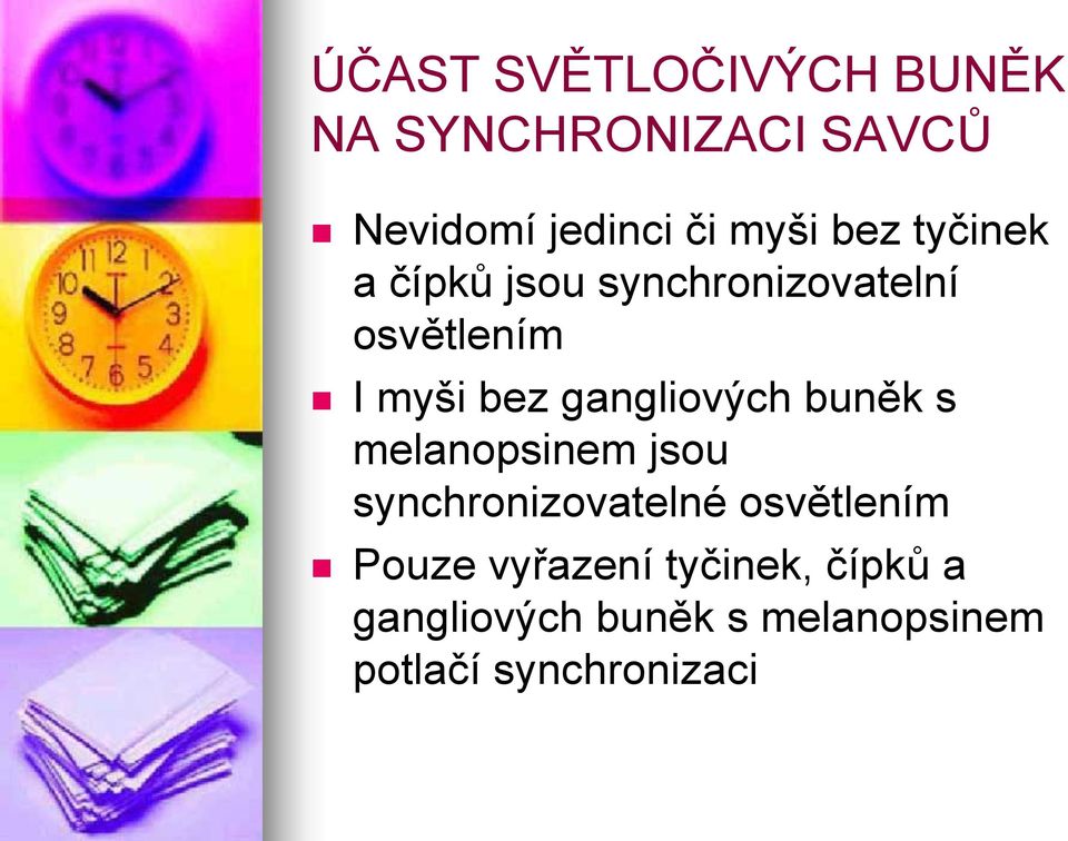 gangliových buněk s melanopsinem jsou synchronizovatelné osvětlením Pouze