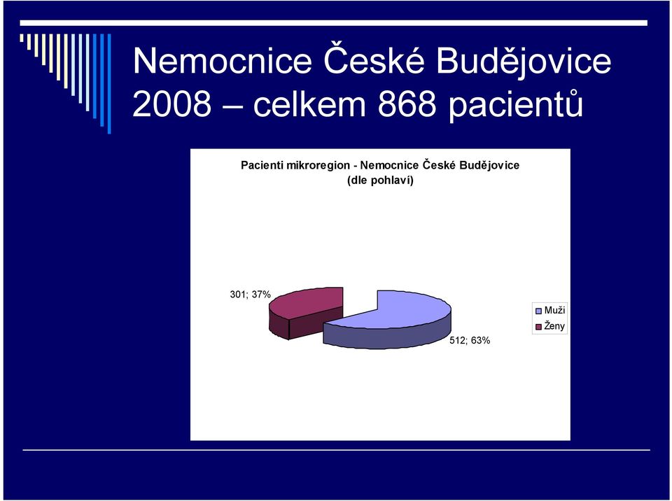 mikroregion - Nemocnice České