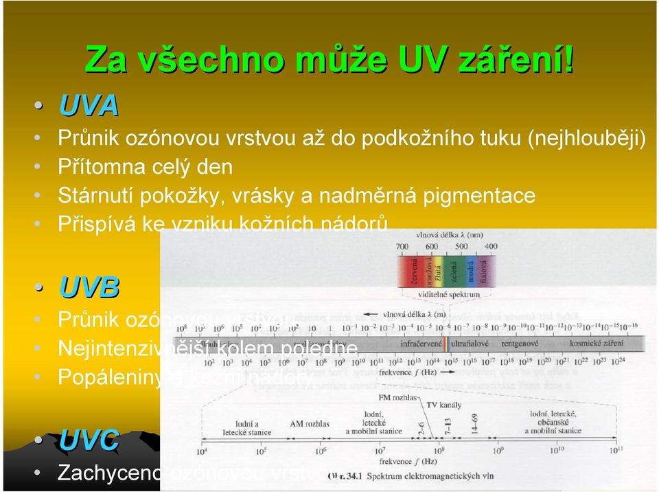 den Stárnutí pokožky, vrásky a nadměrná pigmentace Přispívá ke vzniku kožních