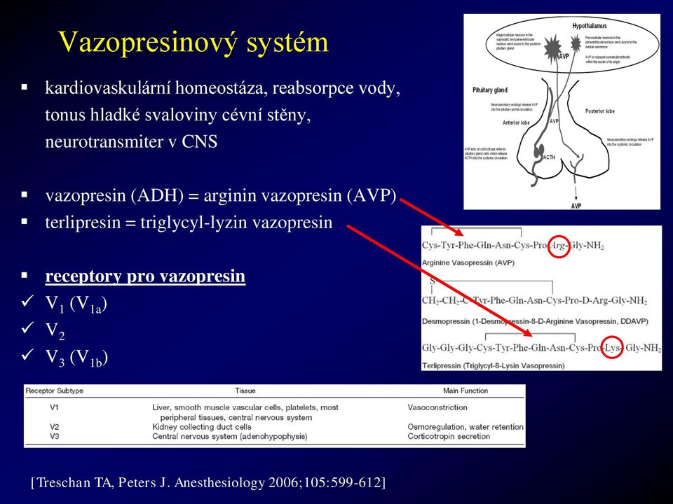 vazopresin (AVP) terlipresin = triglycyl-lyzin vazopresin receptory pro