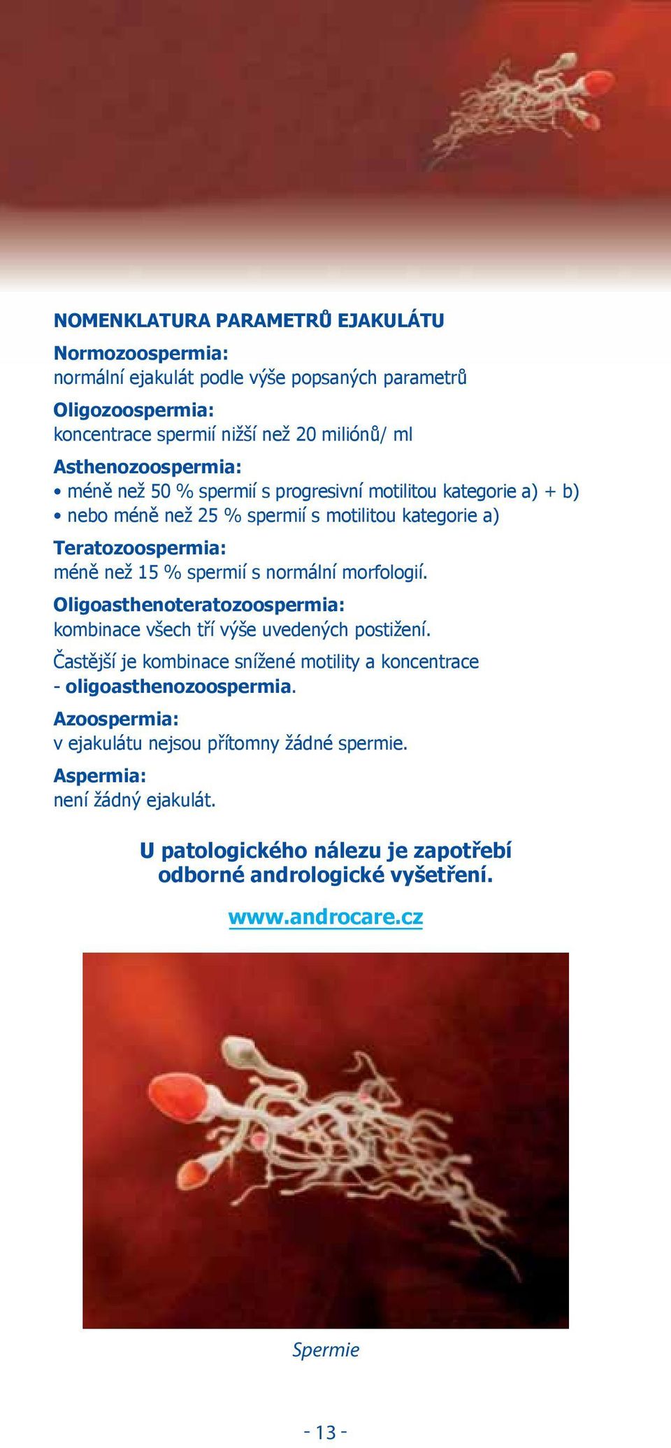 s normální morfologií. Oligoasthenoteratozoospermia: kombinace všech tří výše uvedených postižení.