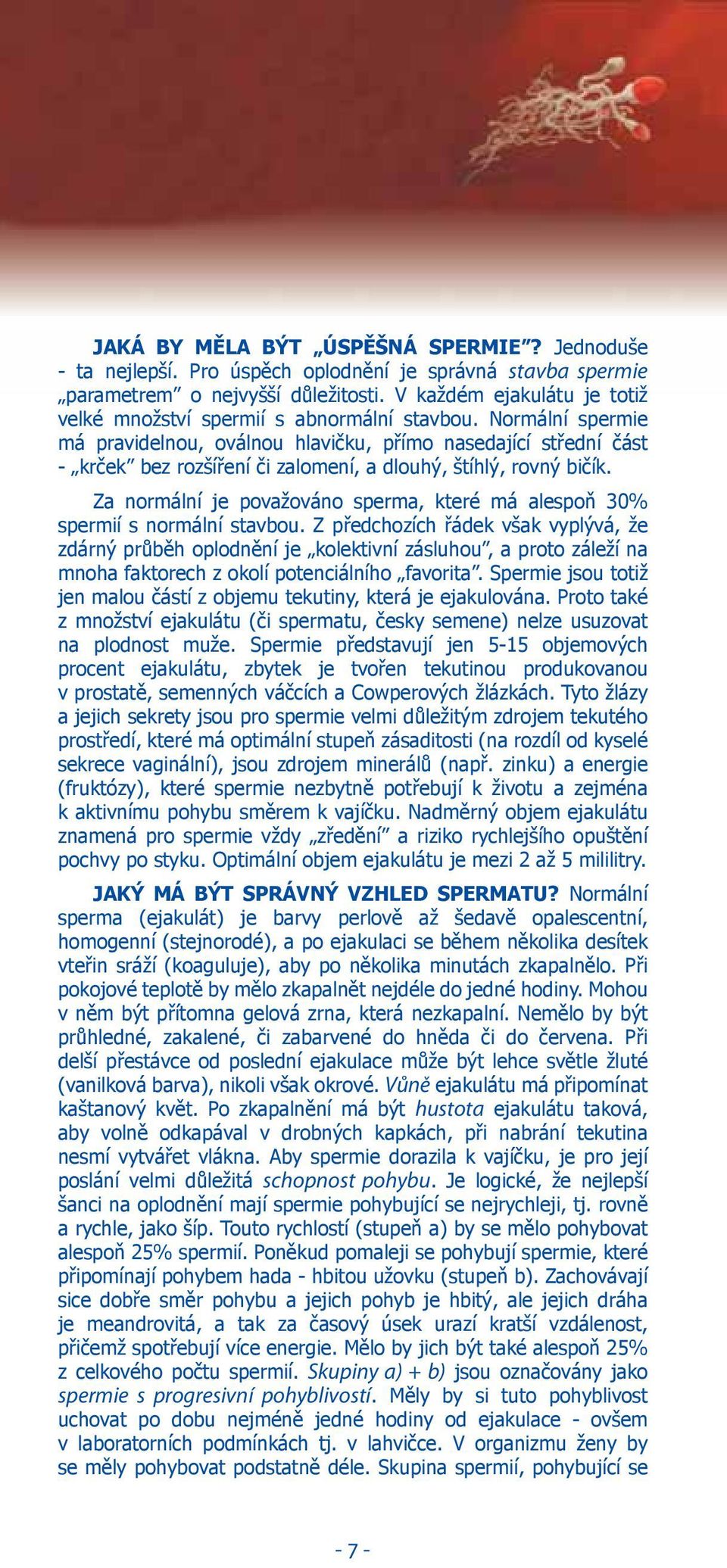 Normální spermie má pravidelnou, oválnou hlavičku, přímo nasedající střední část - krček bez rozšíření či zalomení, a dlouhý, štíhlý, rovný bičík.