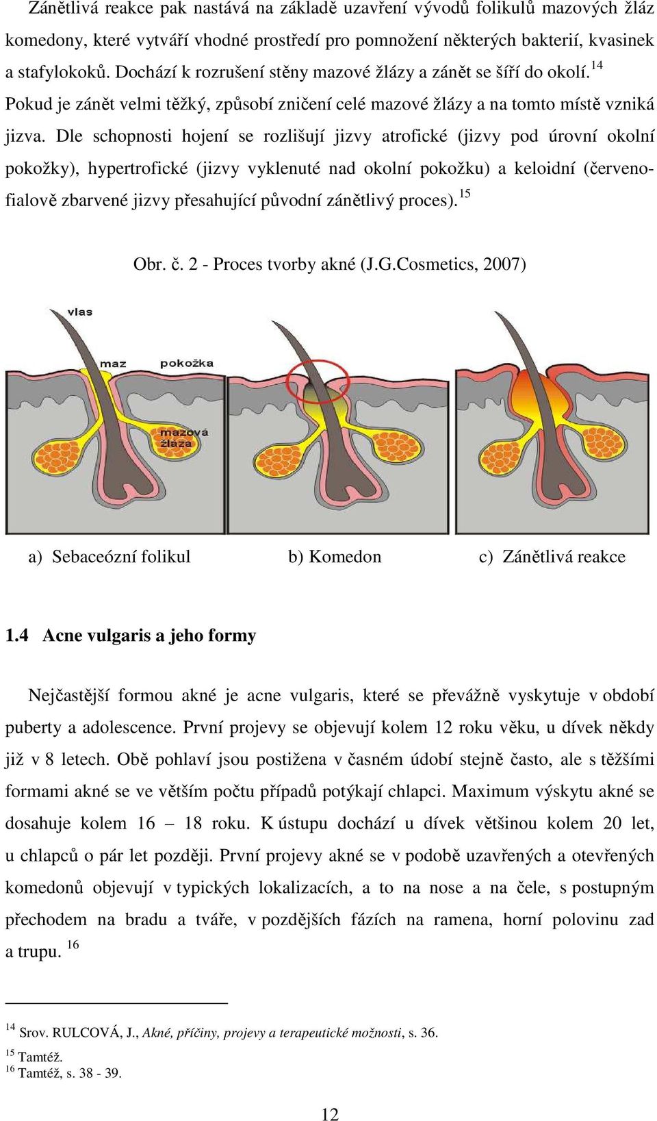 Dle schopnosti hojení se rozlišují jizvy atrofické (jizvy pod úrovní okolní pokožky), hypertrofické (jizvy vyklenuté nad okolní pokožku) a keloidní (červenofialově zbarvené jizvy přesahující původní